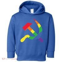 Soviet Union Communist Flag Hammer And Sickle Lgbtq Rainbow Gift Toddler Hoodie thumb 0