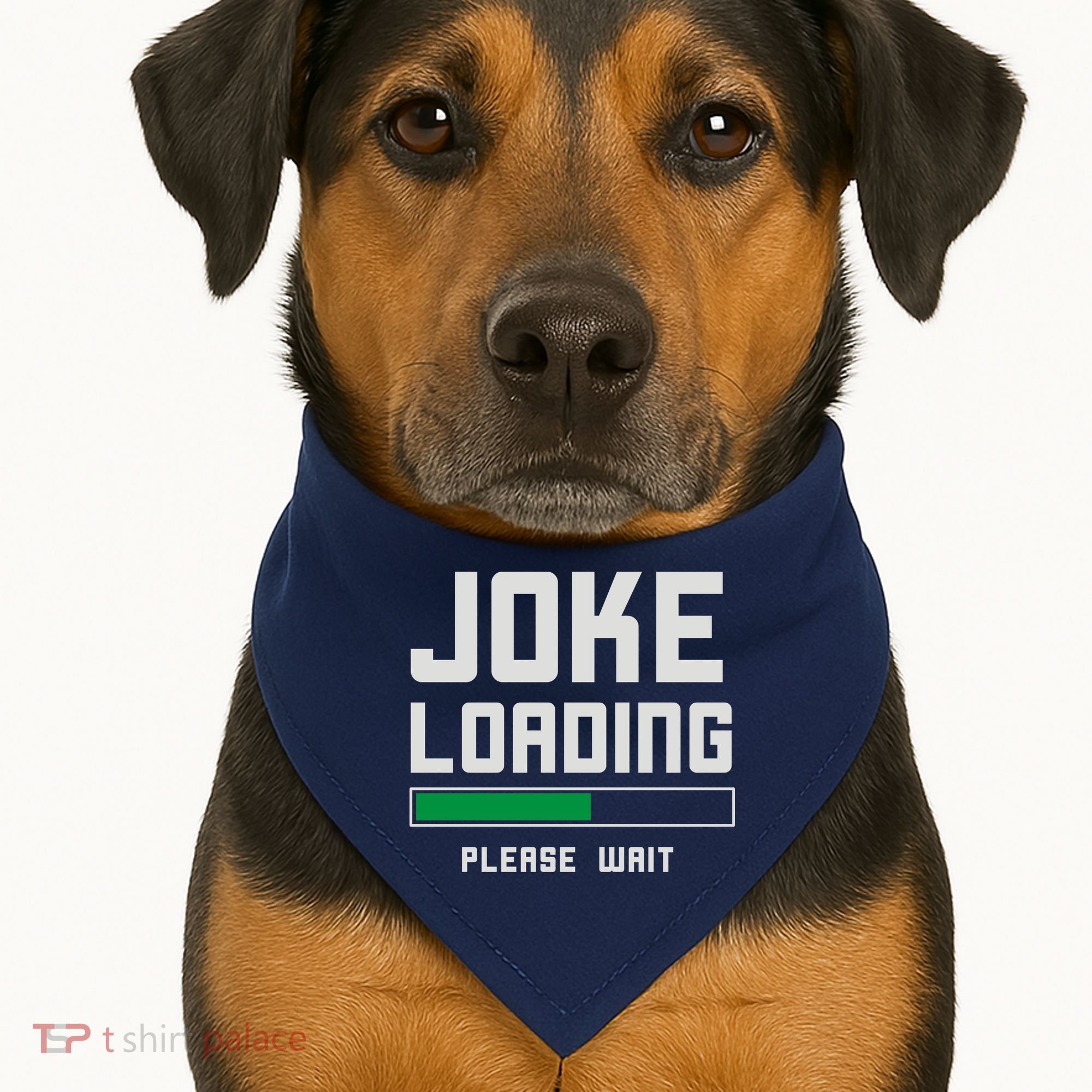 Stand Up Comedian Humor USA-Made Doggie Bandana