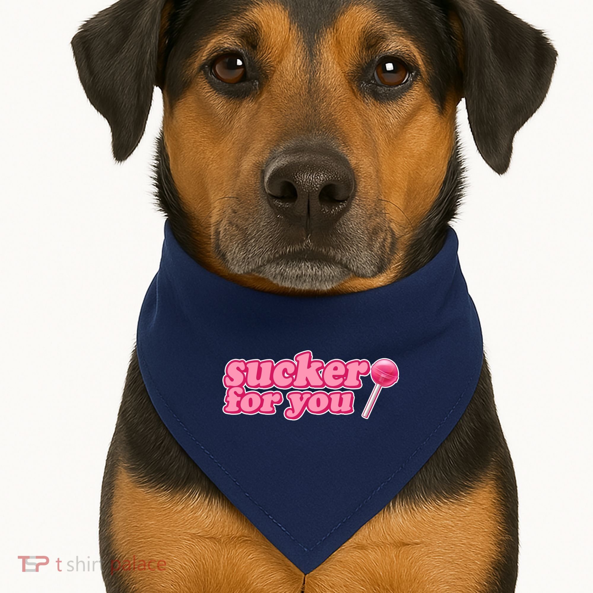 Sucker For You Lolipop USA-Made Doggie Bandana