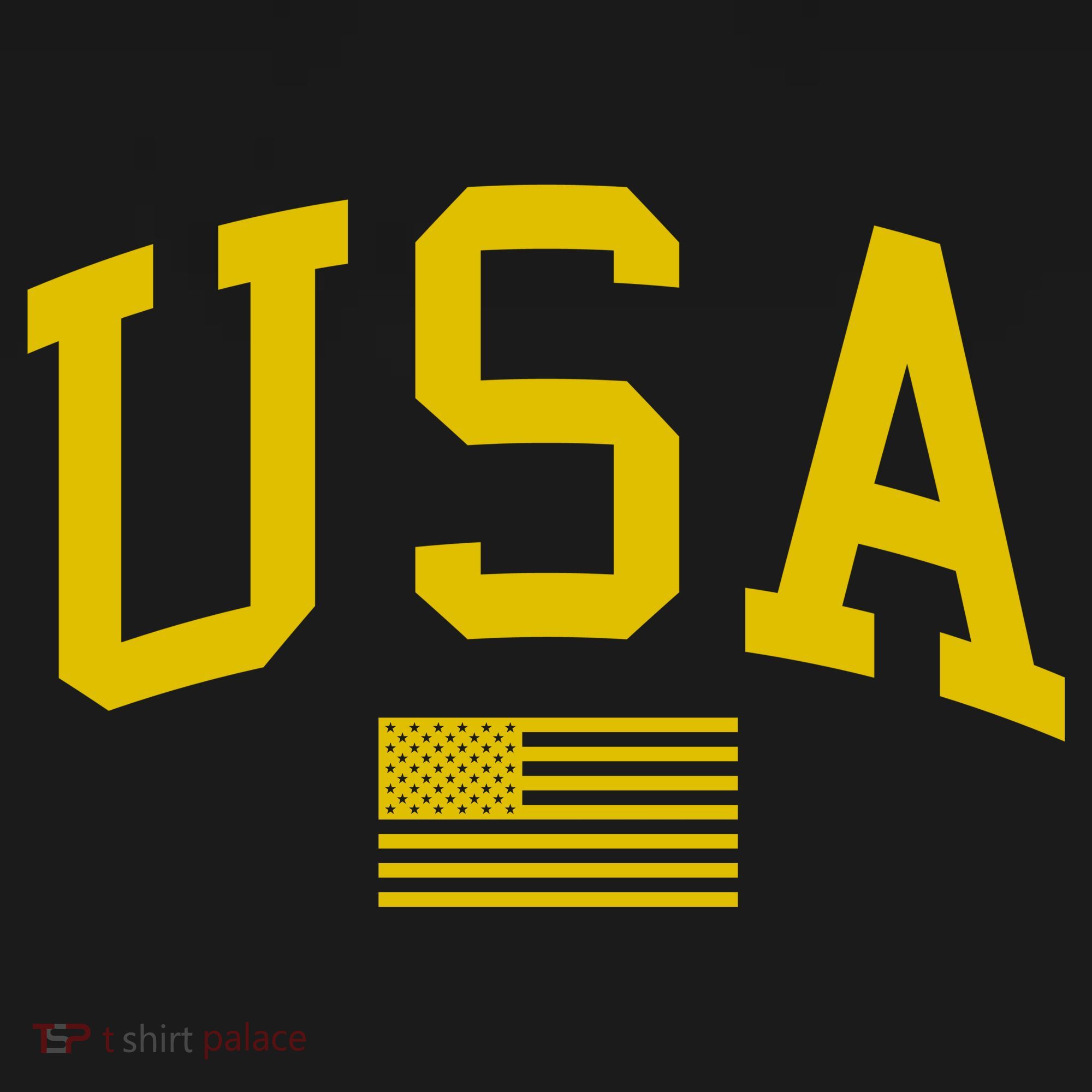 Simplified USA Flag Sports Fan Varsity Women's Hoodie