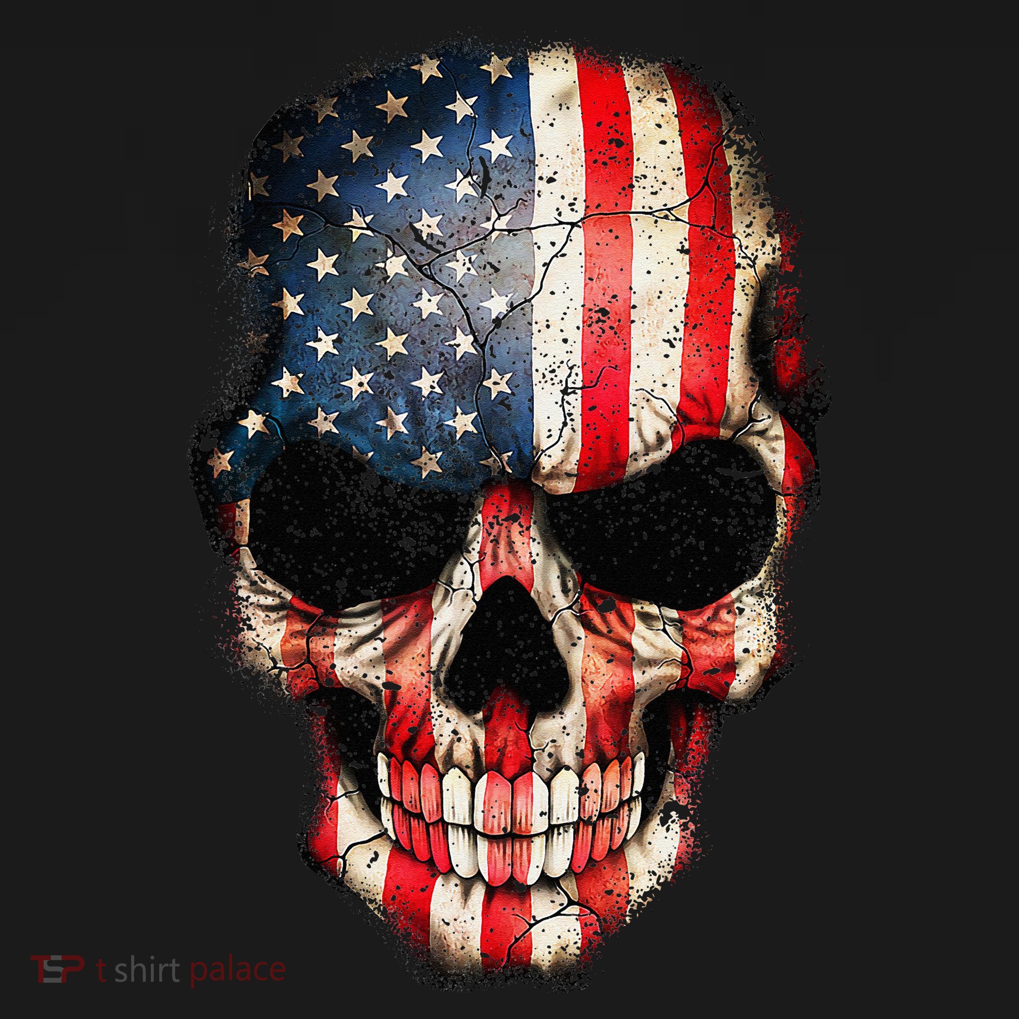 Skull USA Flag 4th of July American Patriotic T-Shirt