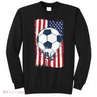 Soccer USA Flag , Soccer Ball Graphic Boys  Sweatshirt thumb 0