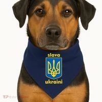Slava Ukraini Glory To Ukraine Trident Stand Support USA-Made Doggie Bandana thumb 1