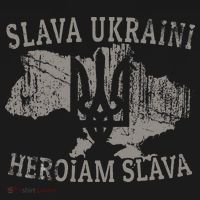 Slava Ukraini Heroiam Slava Glory To Heroes Glory To Ukraine T-Shirt thumb 7