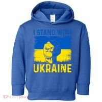 Support Ukraine I Stand With Ukraine Ukrainian Flag Gift Toddler Hoodie thumb 0
