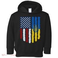 Support Ukraine I Stand With Ukraine Ukrainian Flag 10 Toddler Hoodie thumb 0