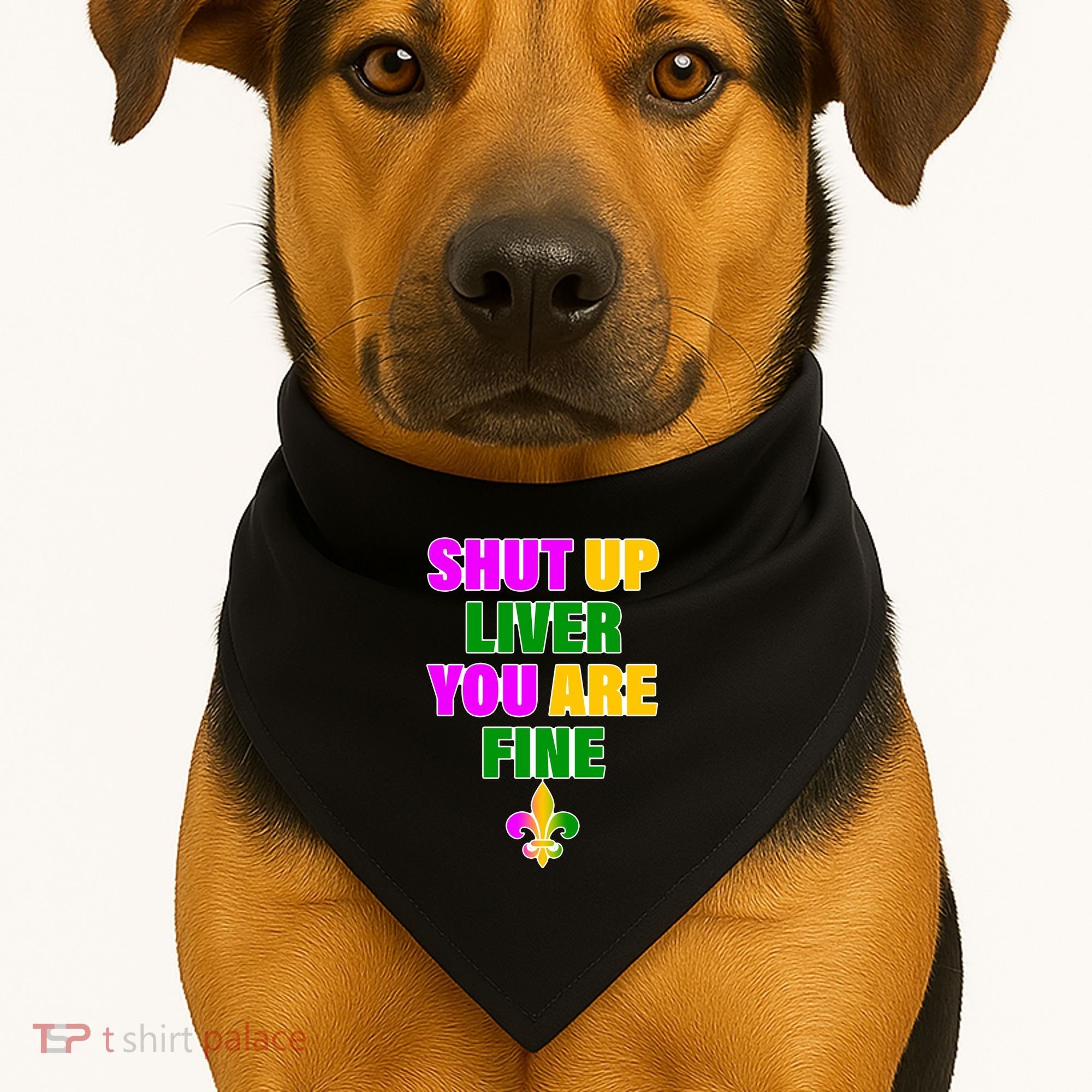 Shut Up Liver You Are Fine Mardi Gras Spade USA-Made Doggie Bandana