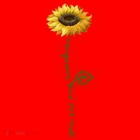 You Are My Sunshine Hippie Sunflower Santa Hat thumb 1