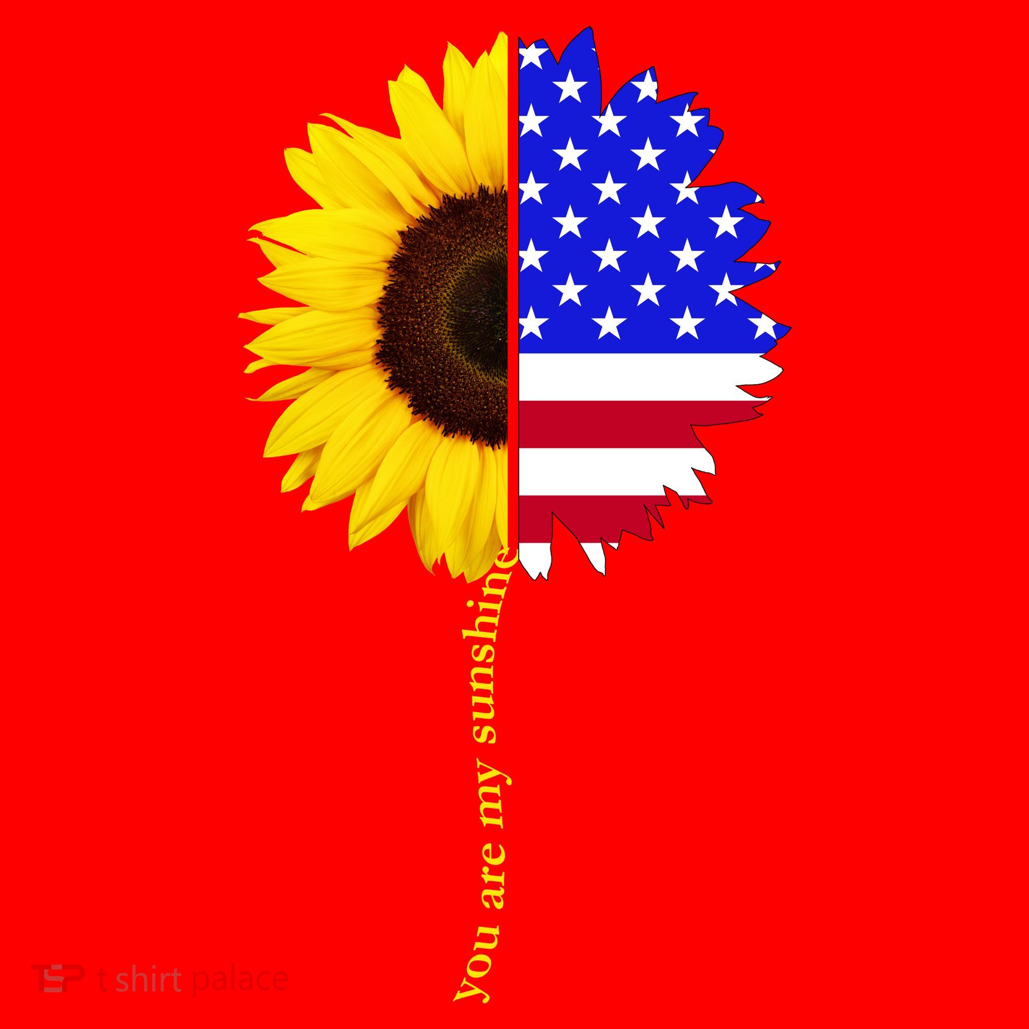 Sunflower American Flag You Are My Sunshine Santa Hat