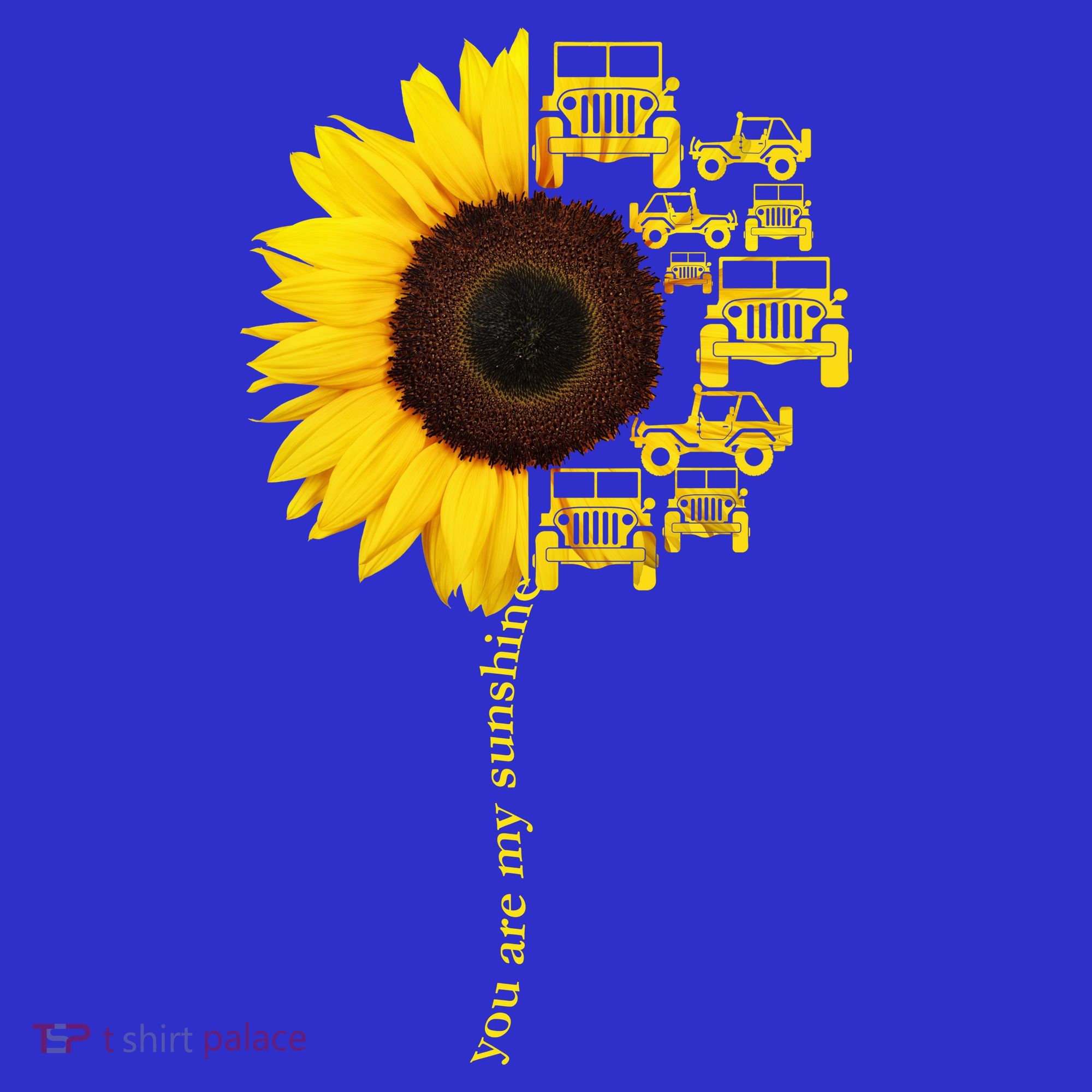 Sunflower Trucks Off-Road Sunshine Coaster