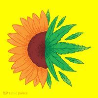 Sunflower Weed T-Shirt thumb 7