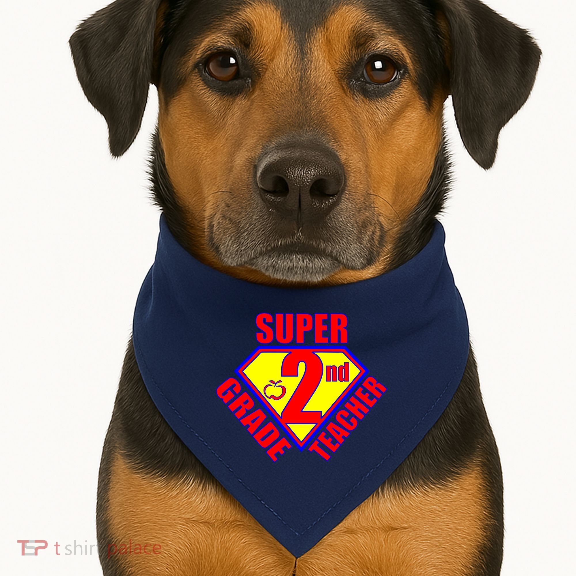 Super 2nd Grade Teacher USA-Made Doggie Bandana