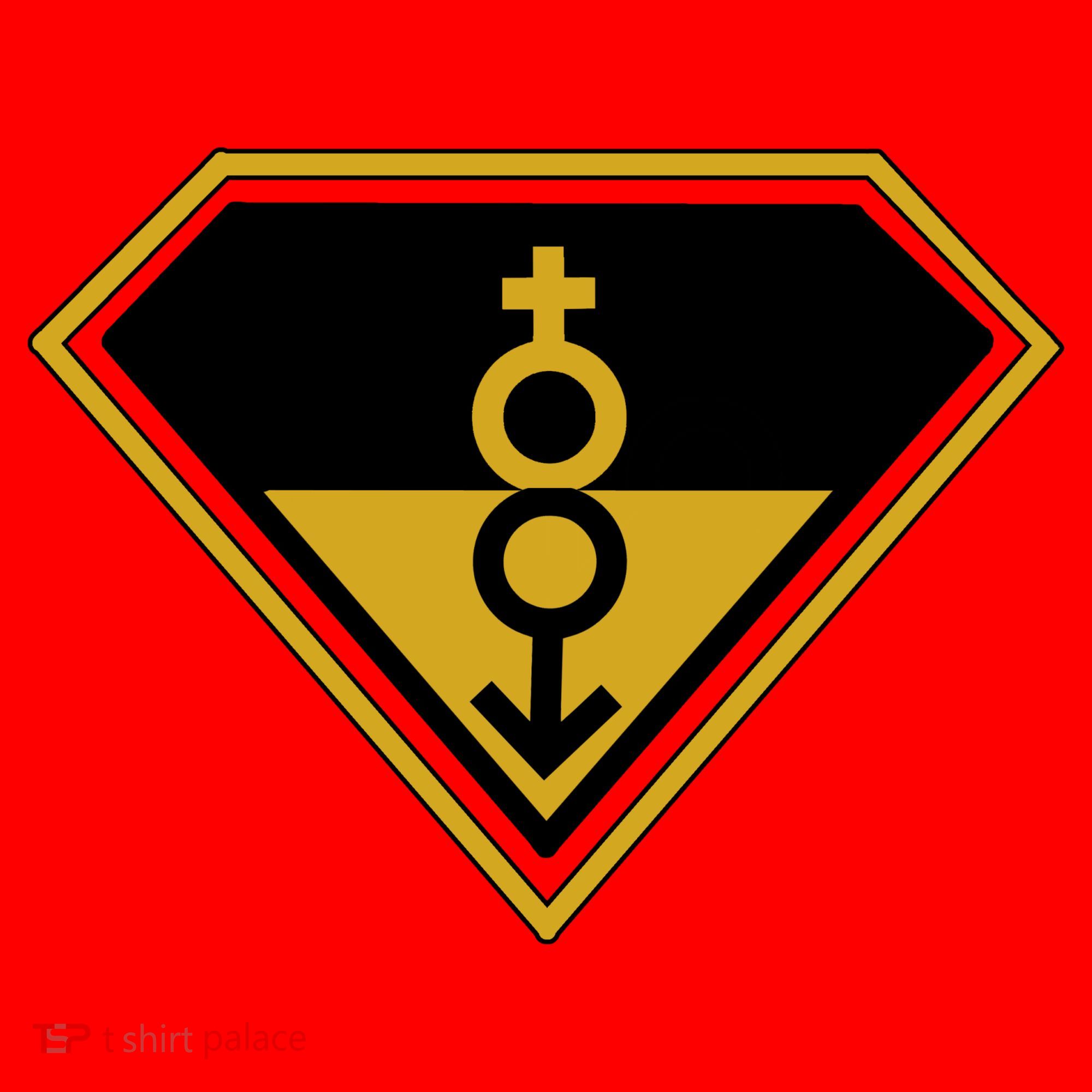 Super Straight Pride Superhero Santa Hat