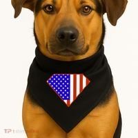 Superhero American Hero Flag USA-Made Doggie Bandana thumb 1