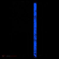 Support Police Blue Thin Line American Flag Coffee Mug thumb 5