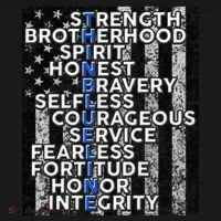 Support Police Thin Blue Line Distressed Flag Women's T-Shirt thumb 6