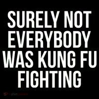 Surely Not Everybody was Kung FU Fighting Women's Hoodie thumb 2
