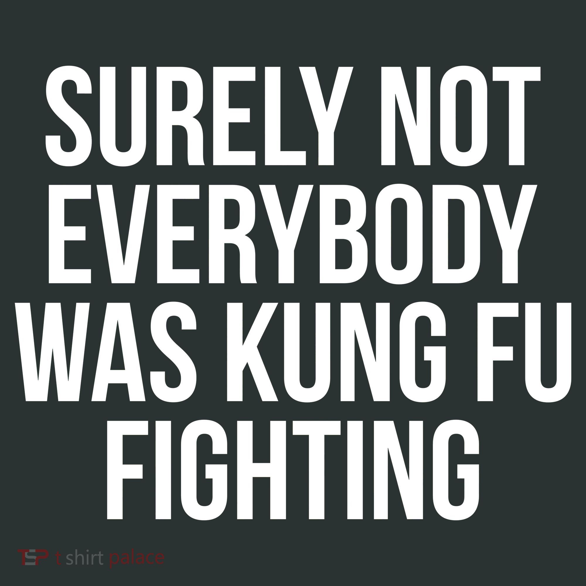 Surely Not Everybody was Kung FU Fighting Hoodie