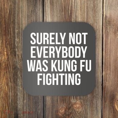 Surely Not Everybody was Kung FU Fighting Coaster