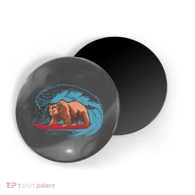 Magnet