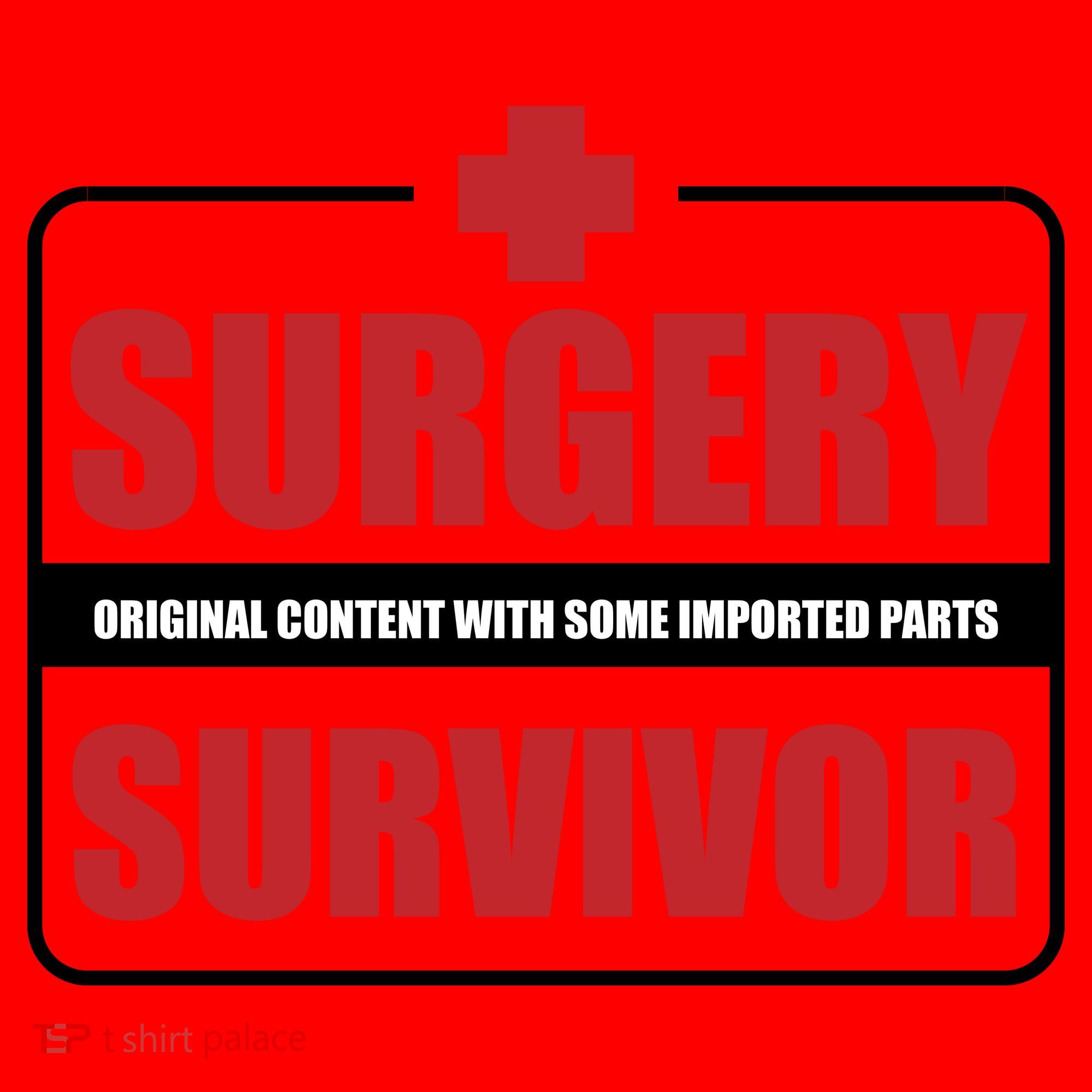 Surgery Survivor Imported Parts Santa Hat