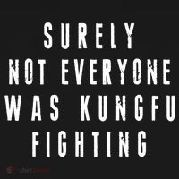 Surley Not Everyone Was Kungfu Fighting Funny Meme Kids T-Shirt thumb 4