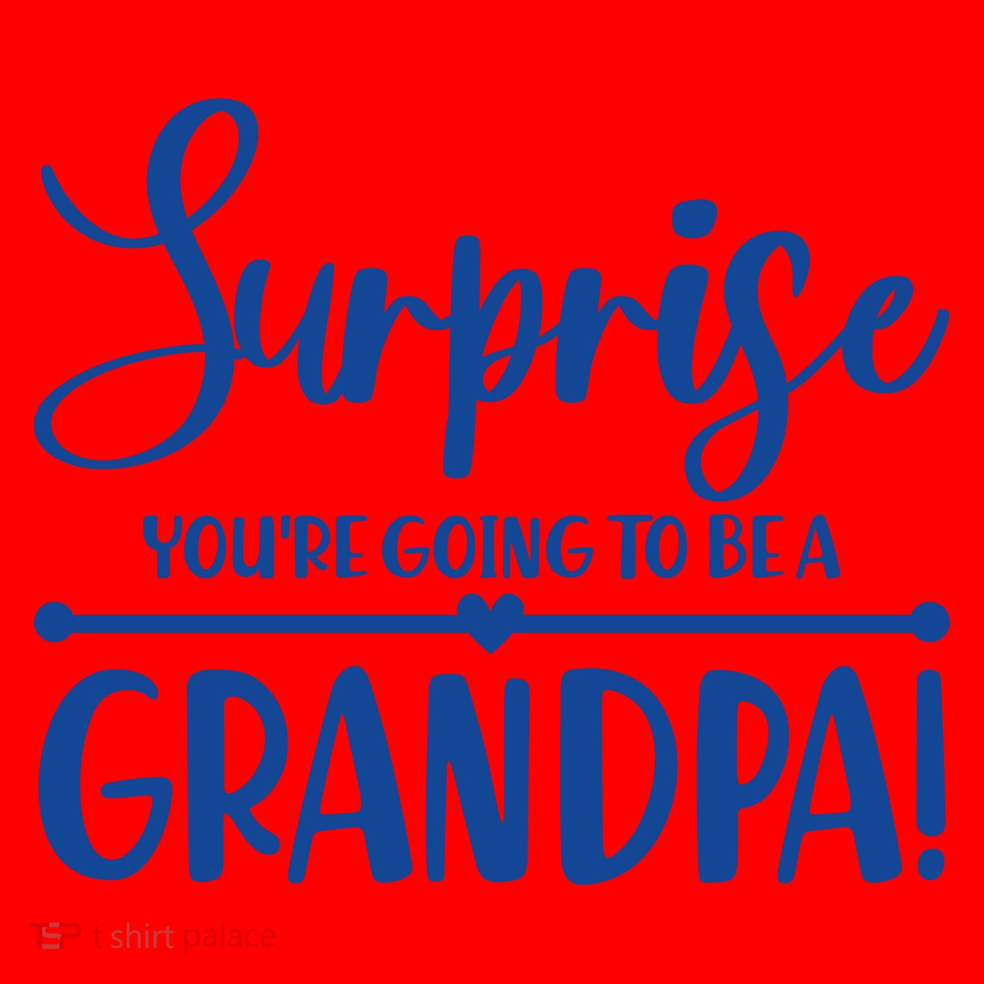 Surprise You're Going To Be A Grandpa! Santa Hat