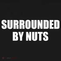 Surrounded By Nuts Rude Funny Text Bucket Hat thumb 4
