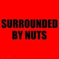 Surrounded By Nuts Rude Funny Text Santa Hat thumb 1