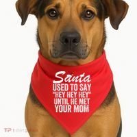 Santa Used To Say Hey Hey Hey Until He Met Your Mom USA-Made Doggie Bandana thumb 1