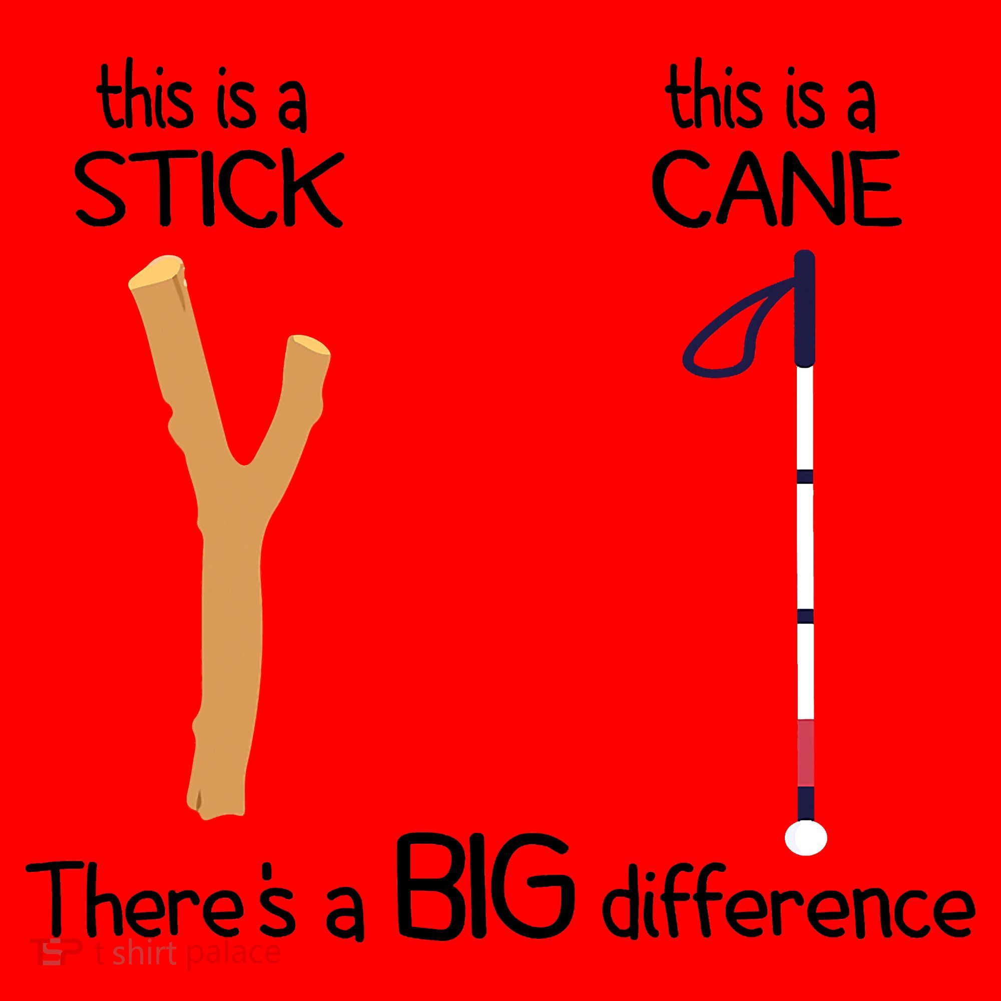 Stick Vs Cane TVI White Cane Awareness Blind Santa Hat