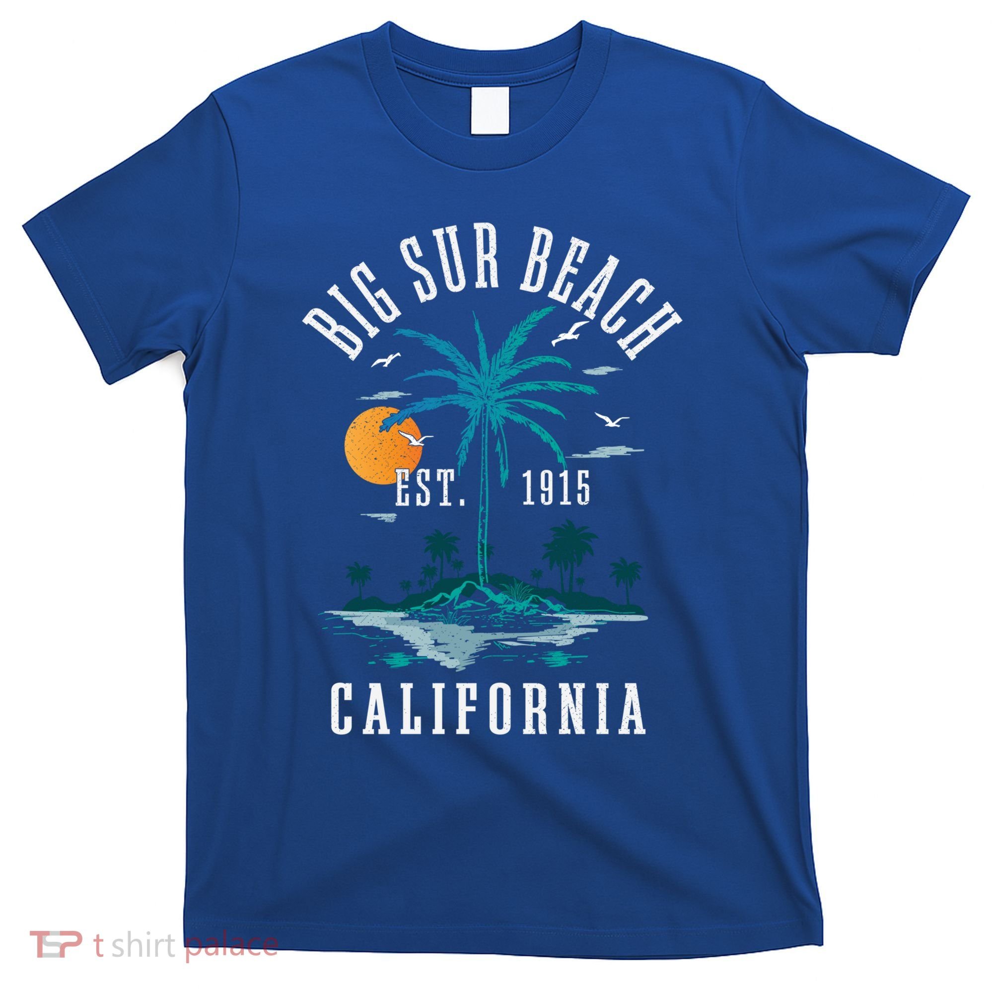 Summer Vacation Est 1915 California Big Sur Beach Vintage Gift T-Shirt
