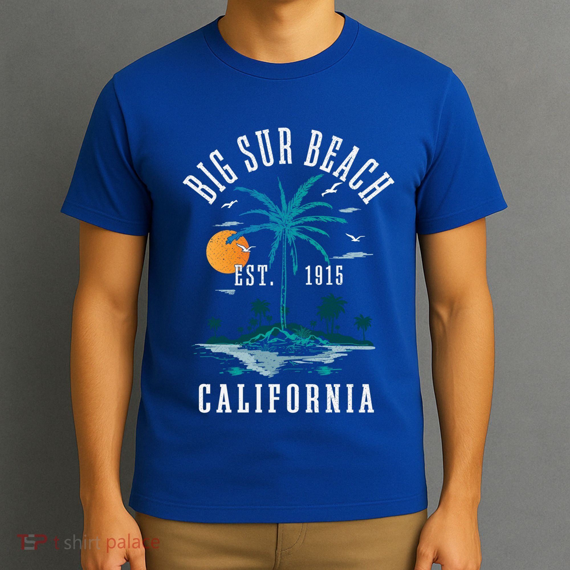 Summer Vacation Est 1915 California Big Sur Beach Vintage Gift T-Shirt