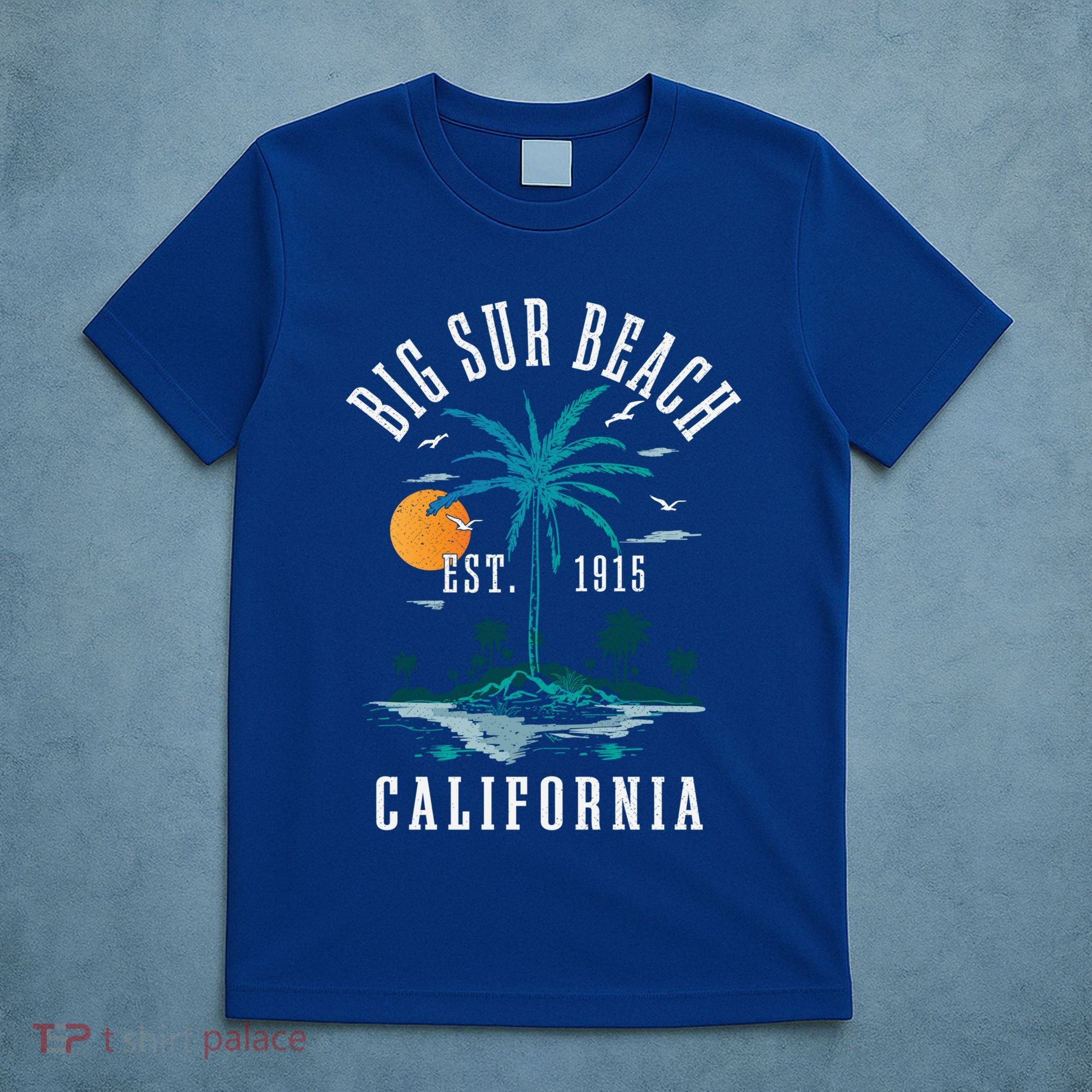 Summer Vacation Est 1915 California Big Sur Beach Vintage Gift T-Shirt