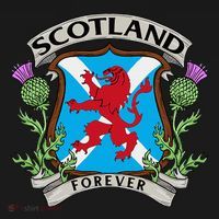 Scottish Vintage Flag Scotland T-Shirt thumb 7