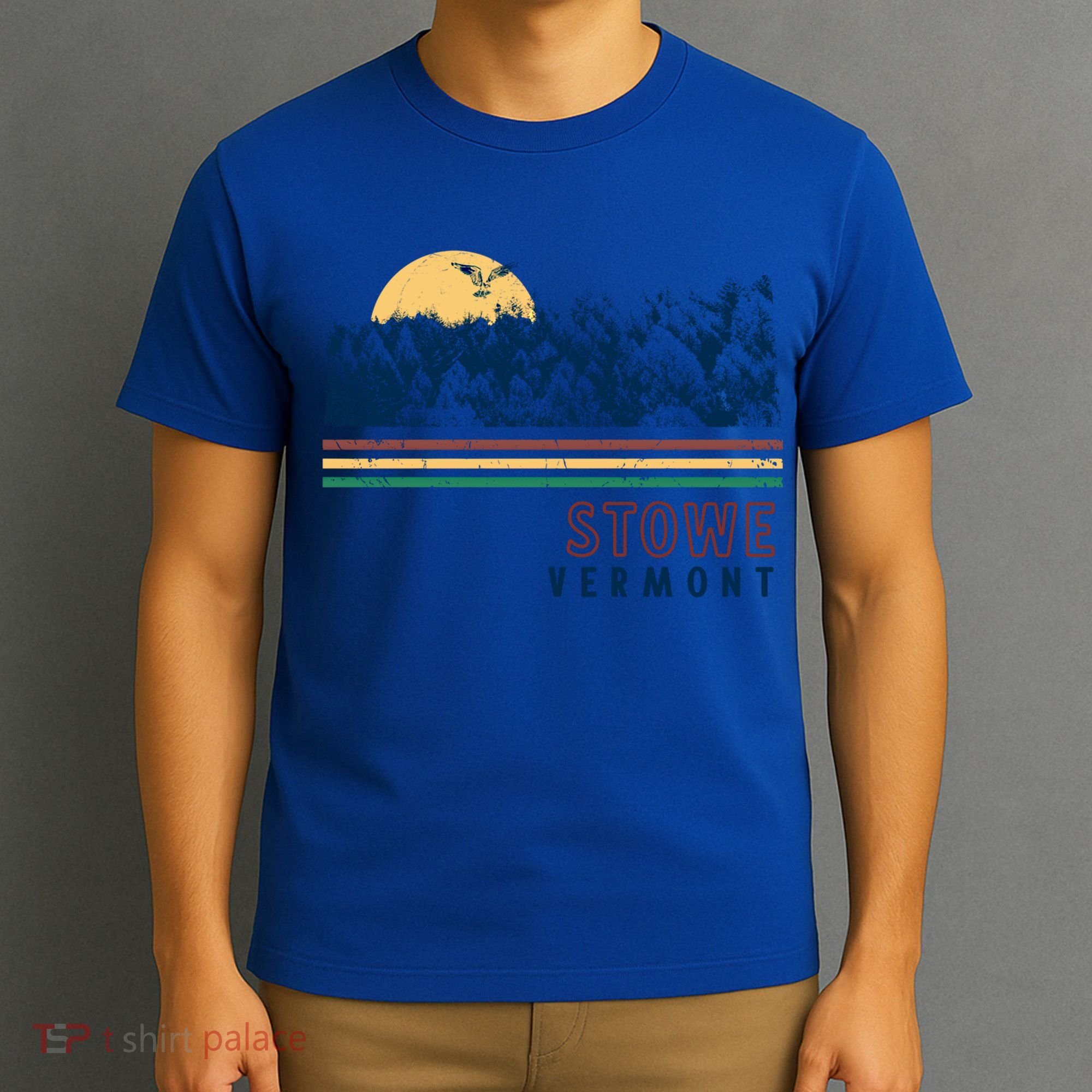 Stowe Vermont Hiking Skiing Retro Cool Gift T-Shirt