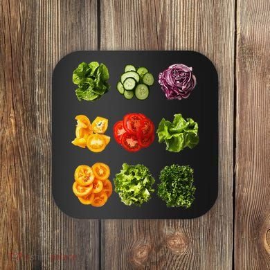 Saladkit Vegetable Motif Garden Saladkit Coaster