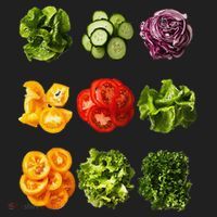 Saladkit Vegetable Motif Garden Saladkit Tumbler thumb 3