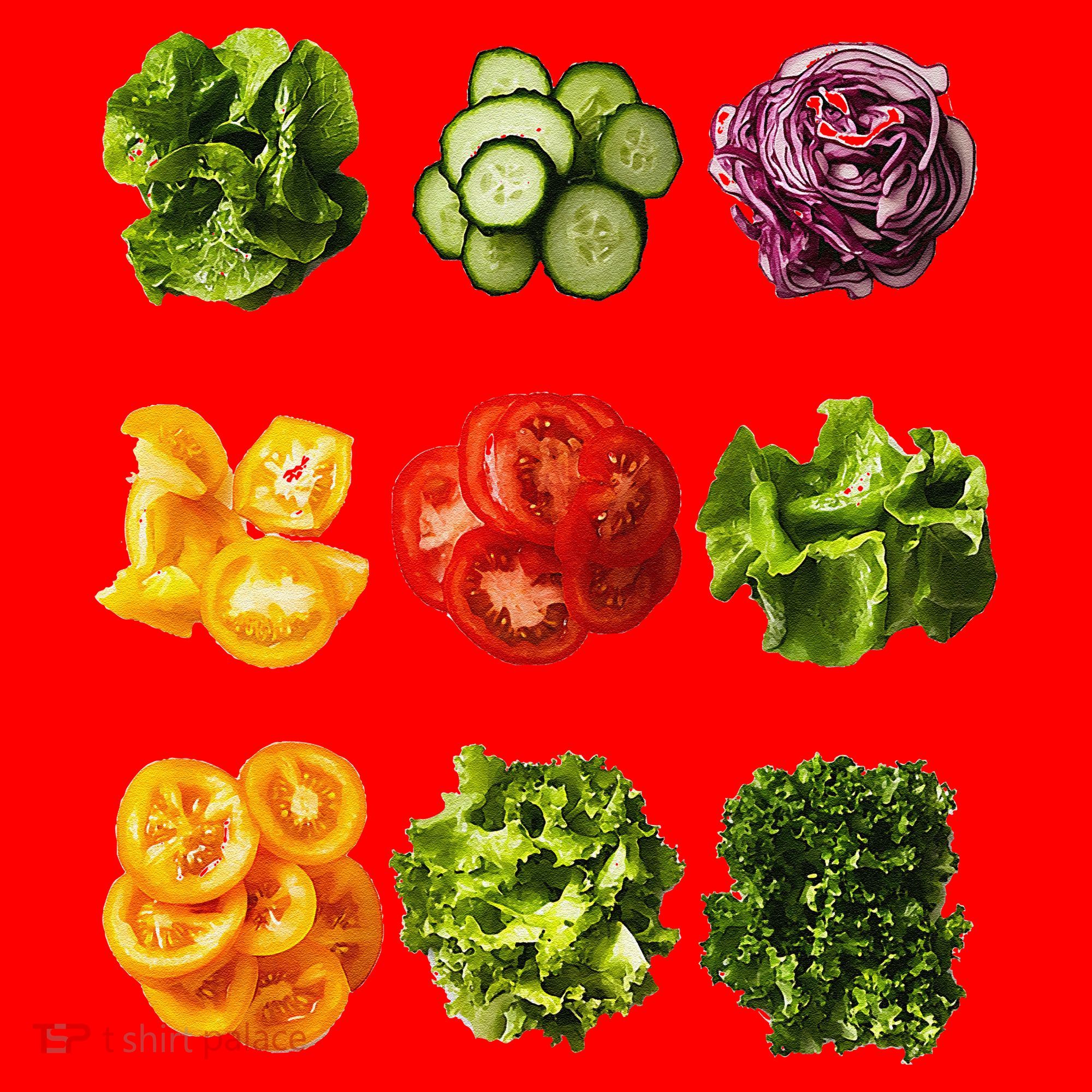 Saladkit Vegetable Motif Garden Saladkit Santa Hat