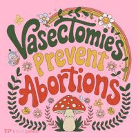 Sunset Vasectomies Prevent Abortions Vasectomy Baby Bodysuit thumb 2