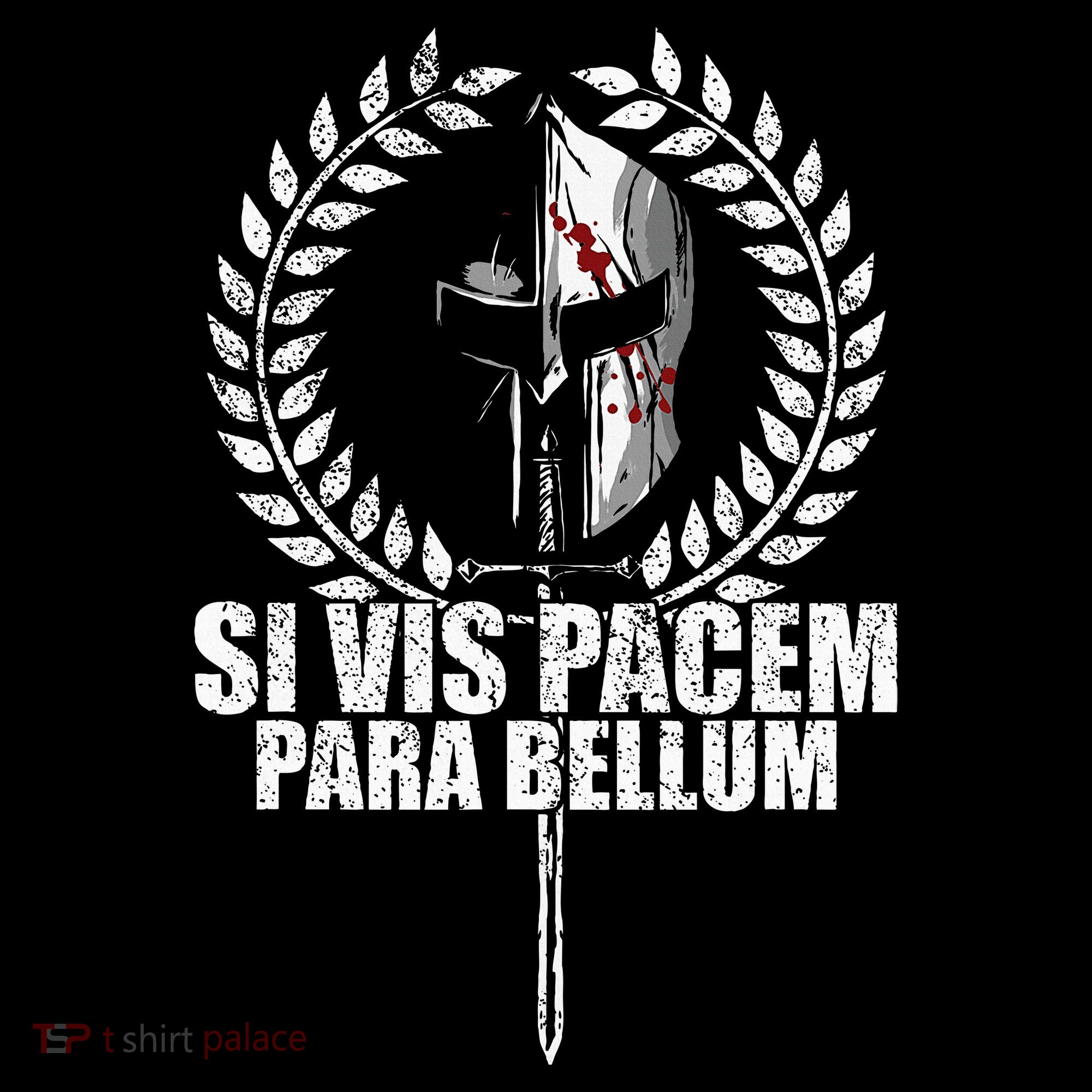Si Vis Pacem Para Bellum Latin Wisdom Proverb Women's Hoodie