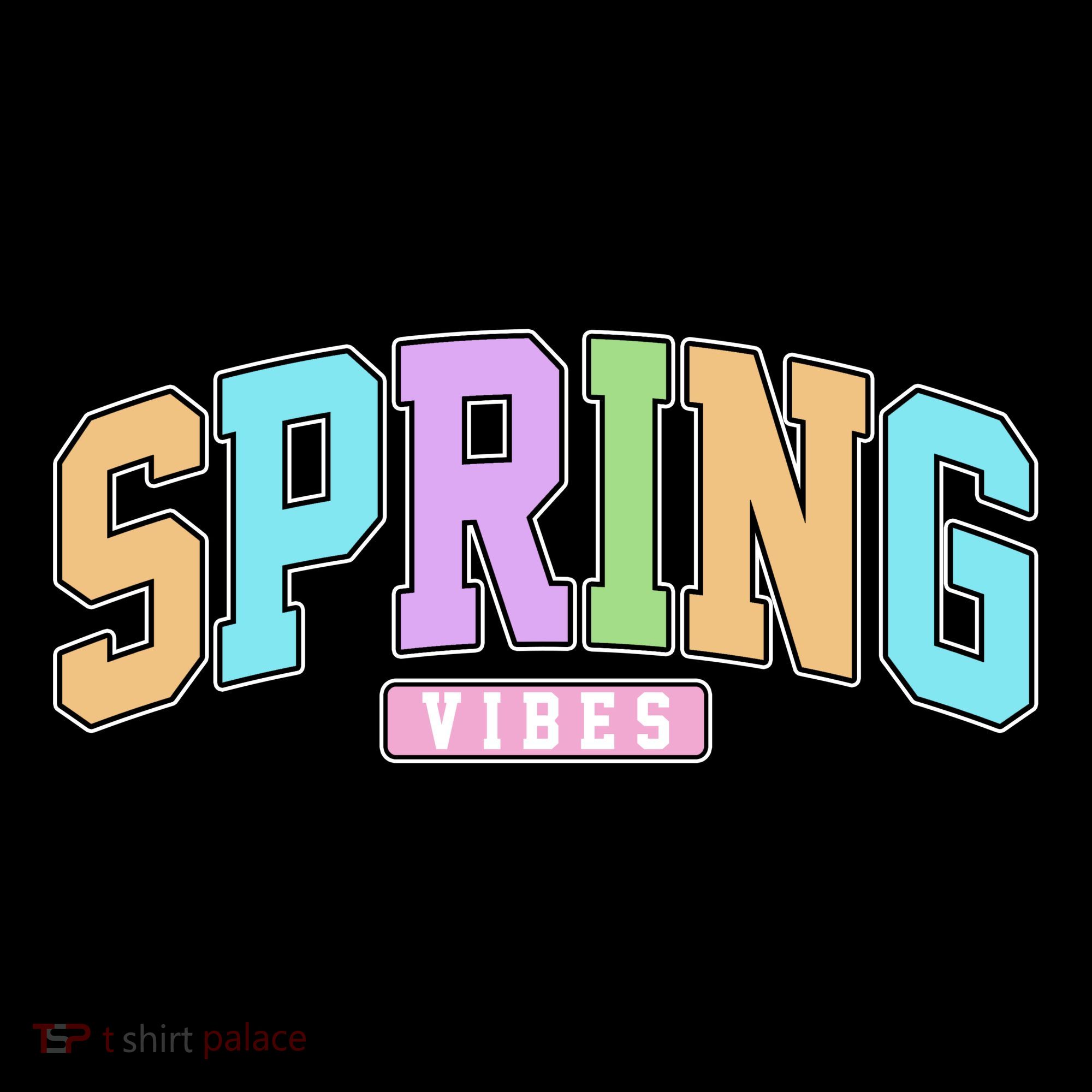 Spring Vibes Retro Varsity Toddler Hoodie
