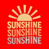 Sunshine Vibes Santa Hat thumb 1