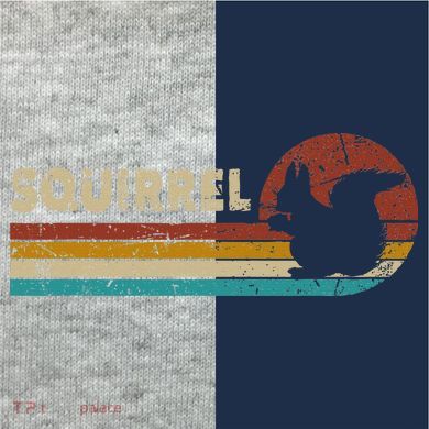 Squirrel Vintage Kids Colorblock Raglan Jersey