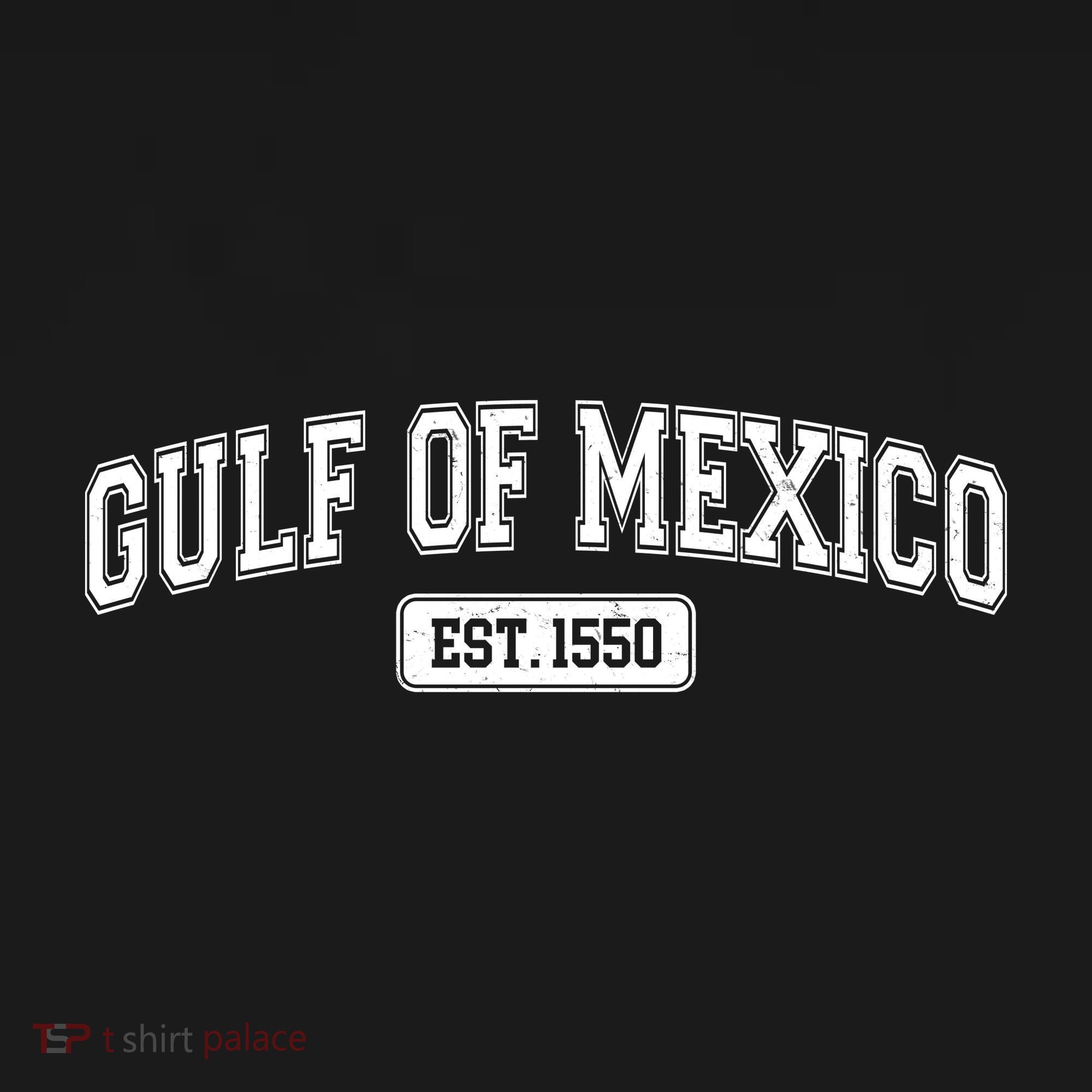Sporty Varsity Style Gulf of Mexico EST 1550 Kids Sweatshirt