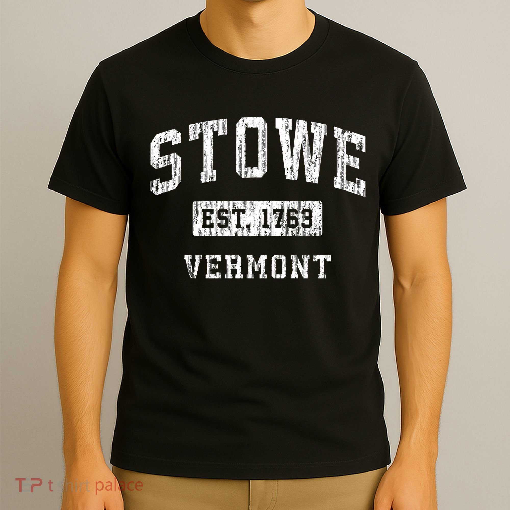 Stowe Vermont Vt Vintage Established Sports T-Shirt