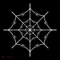 Spider Web Barbed Wire Women's Hoodie thumb 2