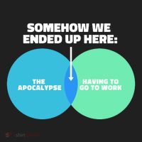 Somehow We Ended Up Here Between Apocalypse & Having To Work Tumbler thumb 3