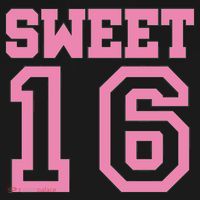 Sweet 16th Birthday USA-Made Doggie Bandana thumb 2