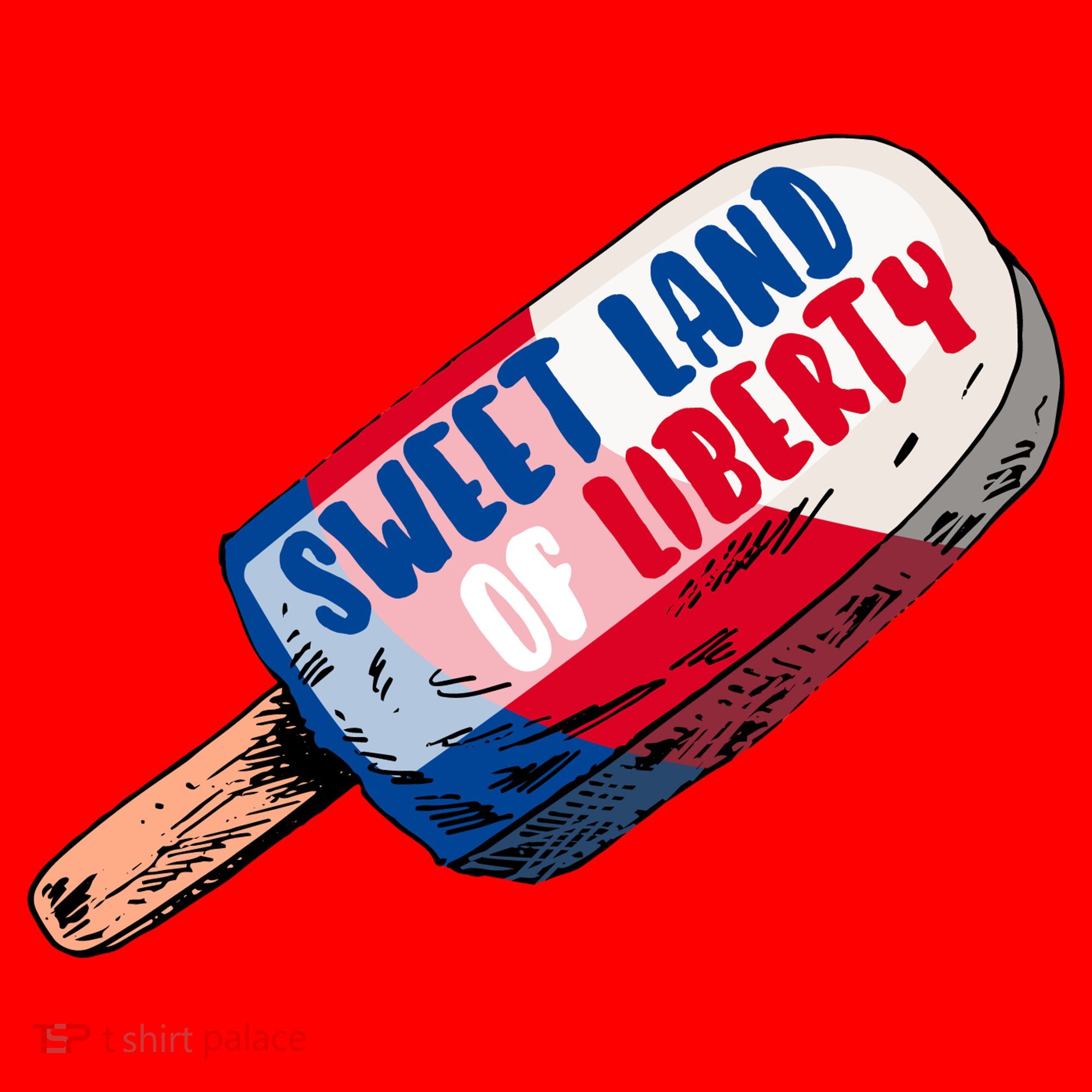 Sweet Land of Liberty Santa Hat
